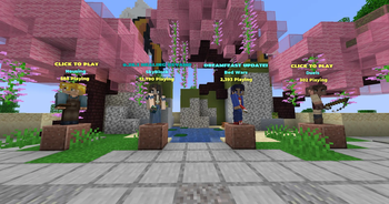 Text In Hypixel Lobby