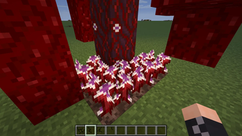 Crimson tree