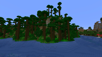 Tropical Rainforest