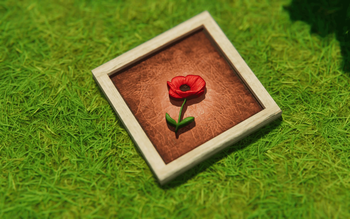 gallery-image