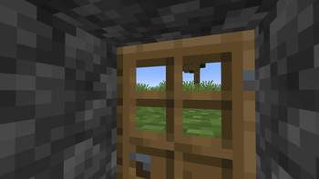 Mini Scaled Enhanced