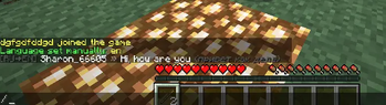 Chat Translation in Action