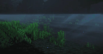 Under Wter