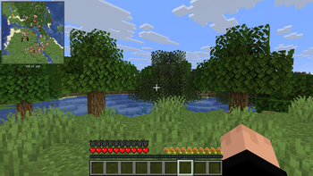 Minimap