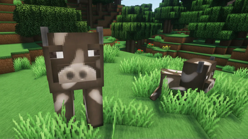 Cow