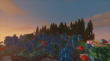 Mystic Grove and Redwood Forest