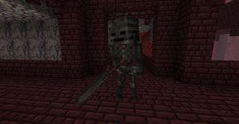 Wither Skeleton