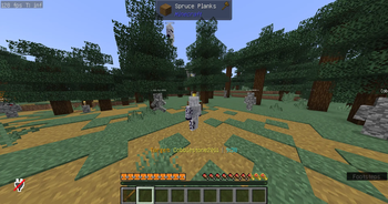 Gameplay 1