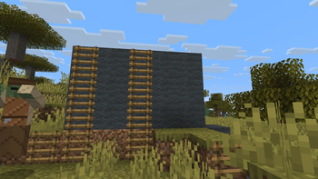 They Build Ladders!!