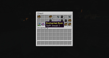 A swift sneak book in an ancient city chest