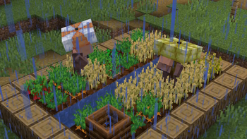 Farming