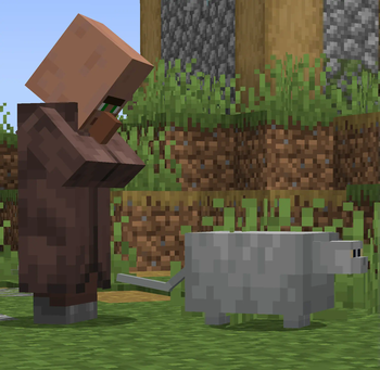 Villager staring at the CHONK