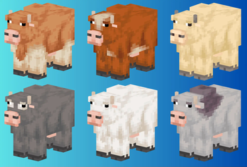 Desert Cows
