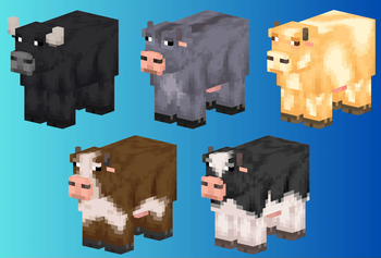 Cows2