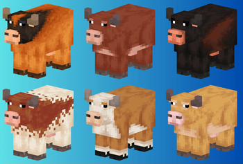 Warm Cows
