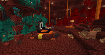 Nether Showcase
