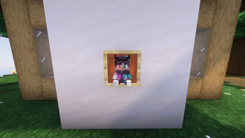 Custom Totems