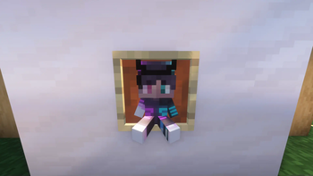 Custom Totems
