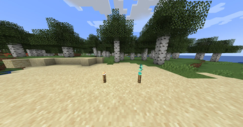 New Torches
