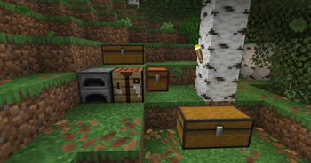 Trapped Chest