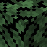 Taiga Foliage Everywhere!