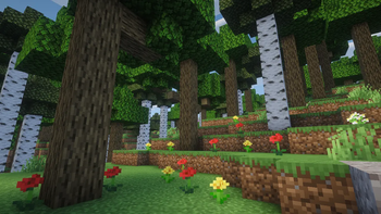 Overworld