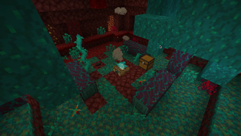 Warped Campsite