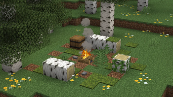 Birch Campsite