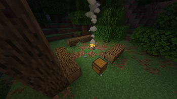 Forest Campsite
