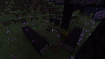 Cherry Campsite