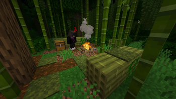 Bamboo Campsite