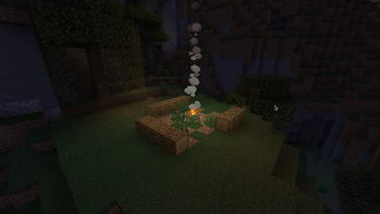 Swamp Campsite