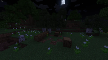 Flower Campsite