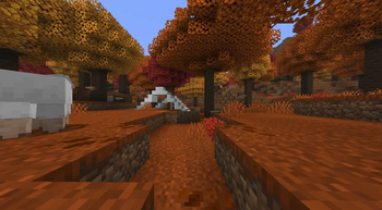 Dappled Forest