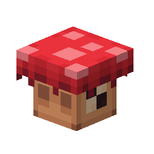 Грибная шляпа | Mushroom hat