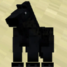 Horse Debug Info