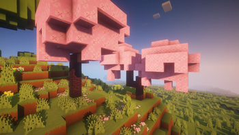 Cherry Blossom Biome