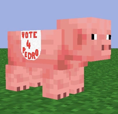 Vote For Pedro Pig