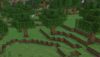 Plains and Forest Biome