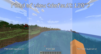 Configurable Field of View