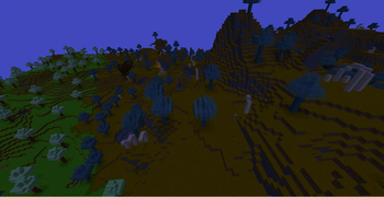 random desert