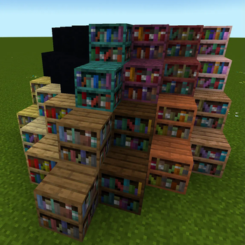 Biome Dependent Bookshelf