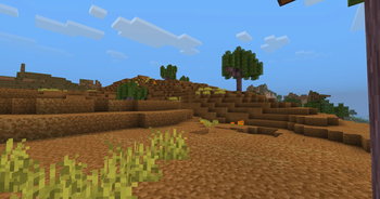 Outback