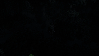 Night walk