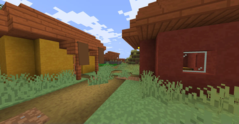 Village