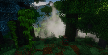 Jungle