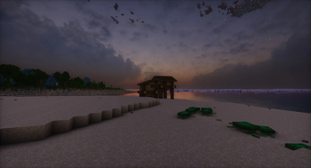 Witches also like the beach