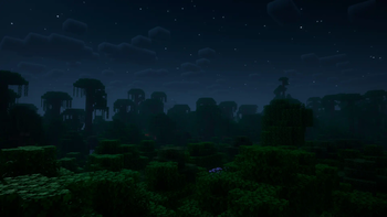 Jungle forest