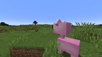 A cute little cat