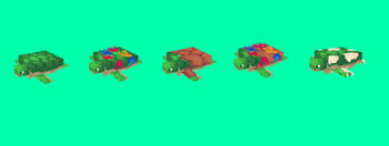 Shapes
